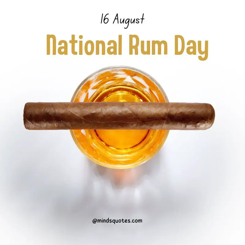38+ Famous National Rum Day Quotes, Wishes & Messages 4 National Rum Day poster