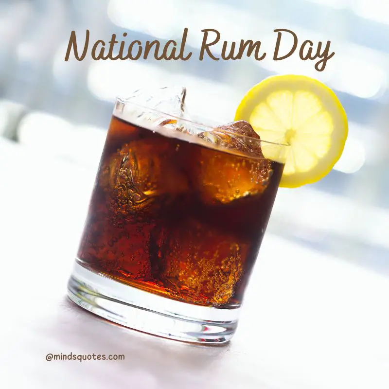 38+ Famous National Rum Day Quotes, Wishes & Messages 6 National Rum Day poster