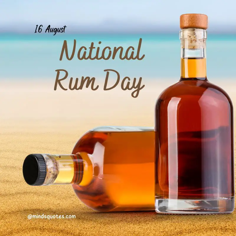 38+ Famous National Rum Day Quotes, Wishes & Messages 7 National Rum Day poster