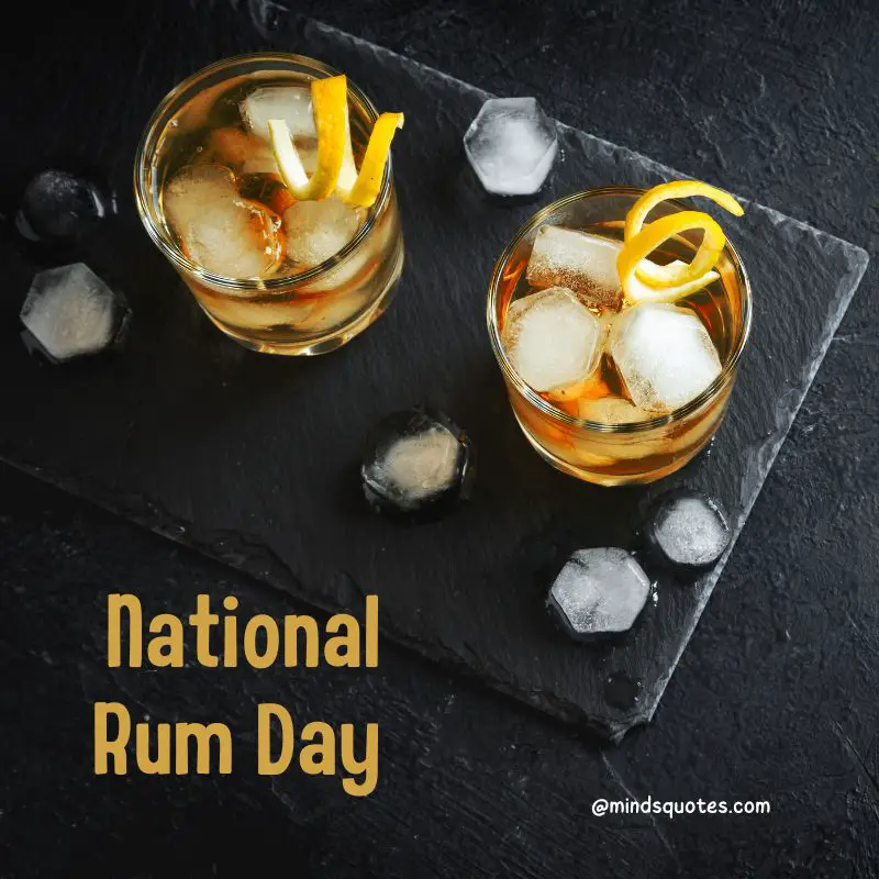 38+ Famous National Rum Day Quotes, Wishes & Messages 9 National Rum Day poster