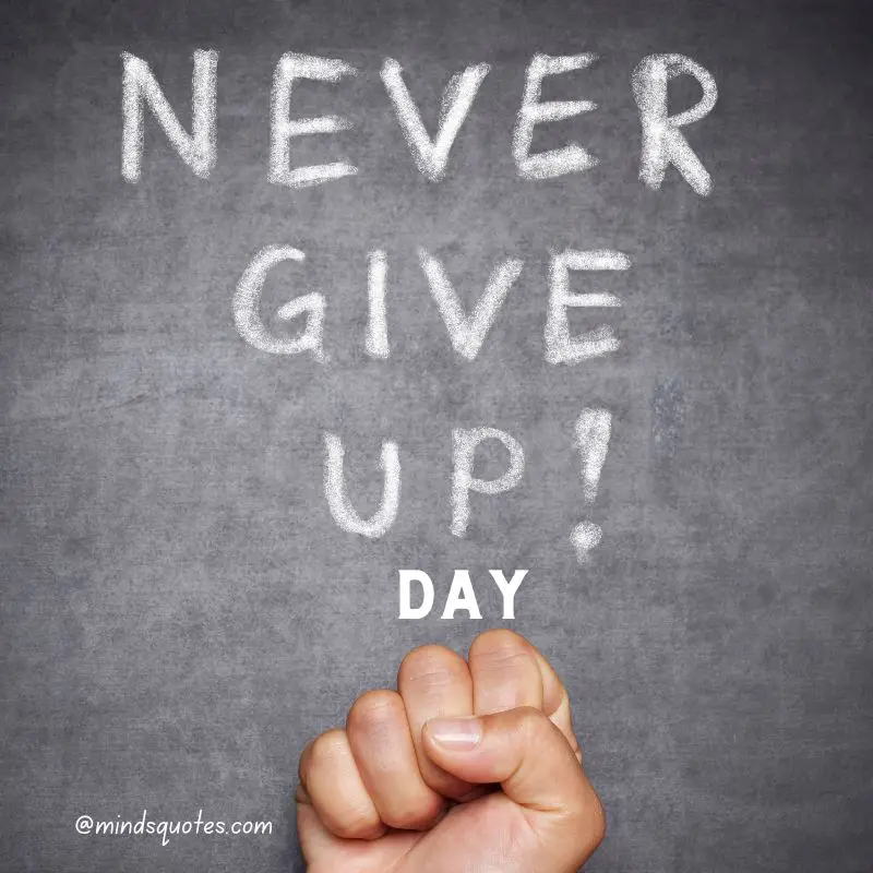 58+ Famous Never Give Up Day Quotes, Wishes, and Messages 8 Never Give Up Day Poster