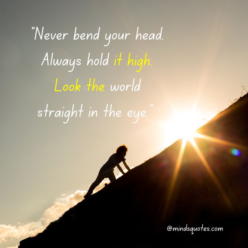 58+ Famous Never Give Up Day Quotes, Wishes, and Messages 14 Never Give Up Day Quotes