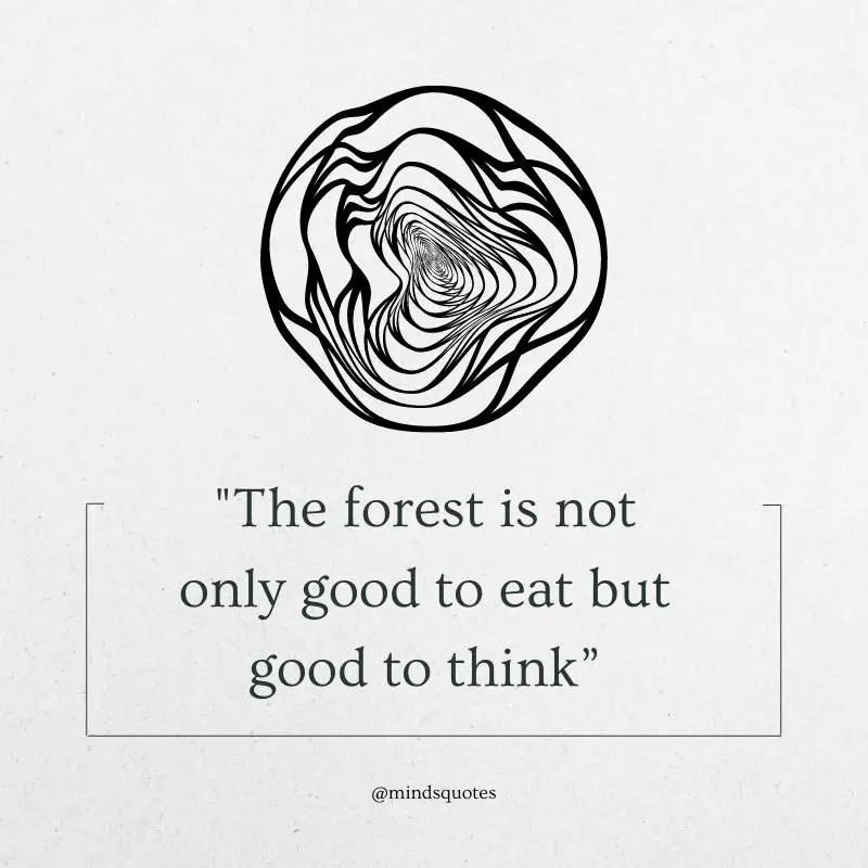 25 Famous Psychedelic Quotes To Make You Question Reality 3 Psychedelic Quotes