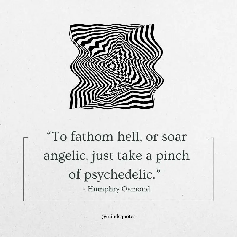 25 Famous Psychedelic Quotes To Make You Question Reality 2 Psychedelic Quotes