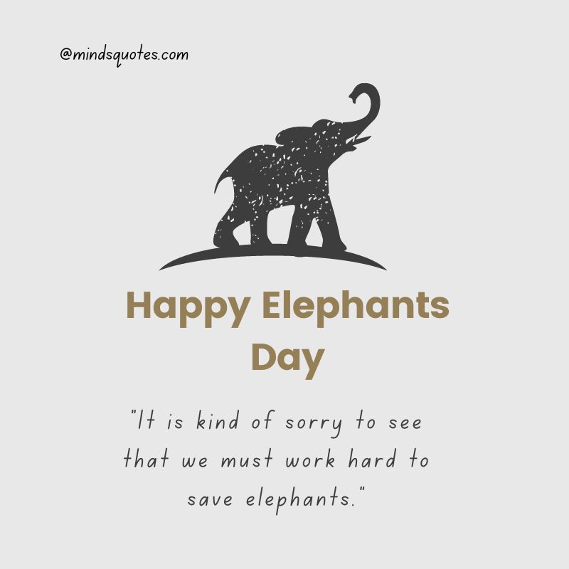 Save the Elephants Day Slogans