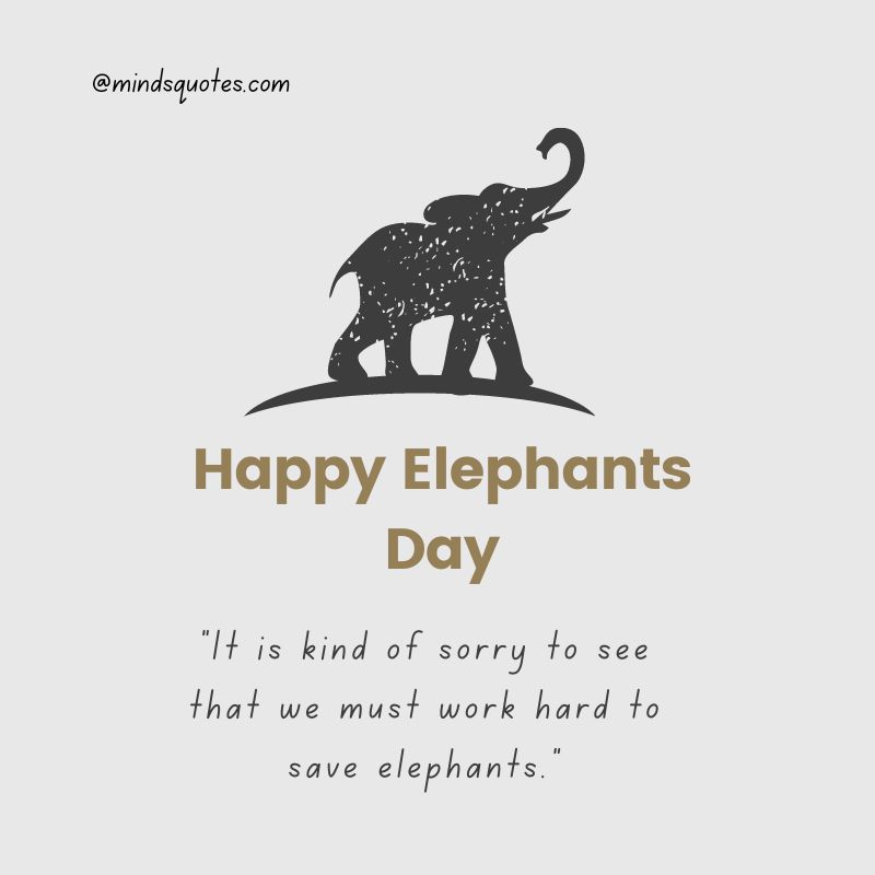 45 + Famous World Elephant Day Quotes, Wishes & Messages 11 Save the Elephants Day Slogans