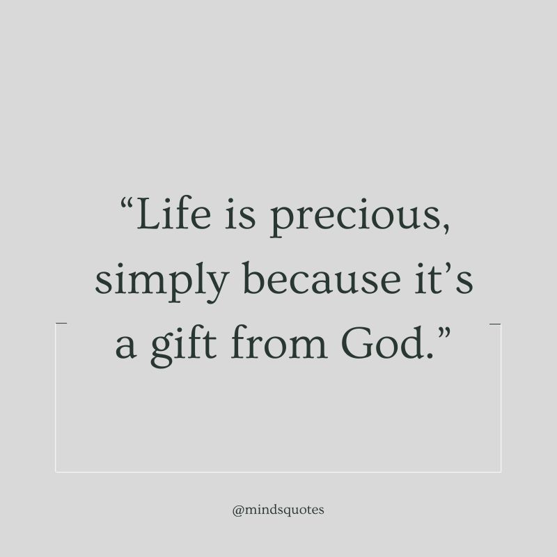 Thankful Life is Precious Quotes