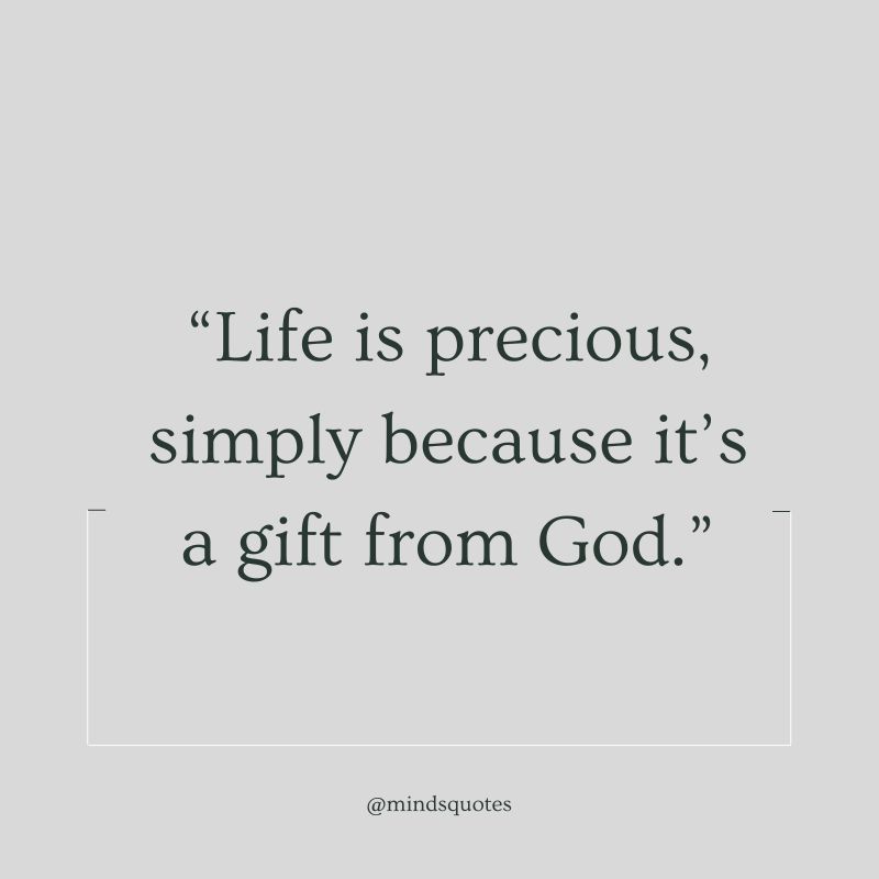 50 Famous Life is Precious Quotes That Will Touch Your Heart 9 Thankful Life is Precious Quotes