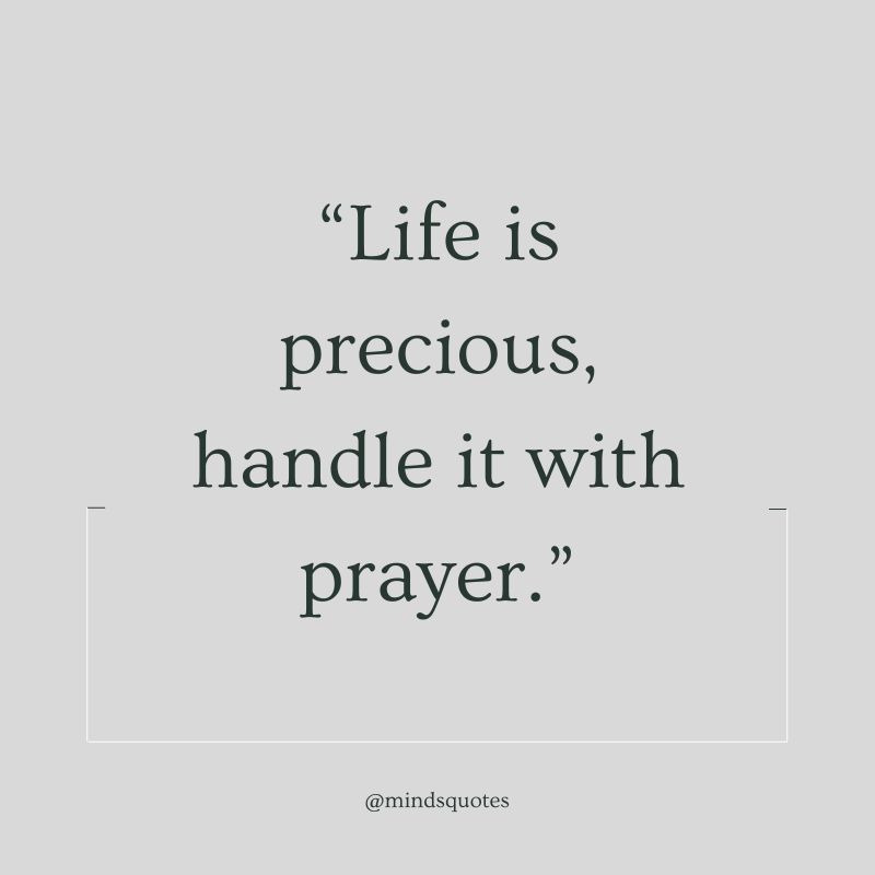 50 Famous Life is Precious Quotes That Will Touch Your Heart 8 Thankful Life is Precious Quotes