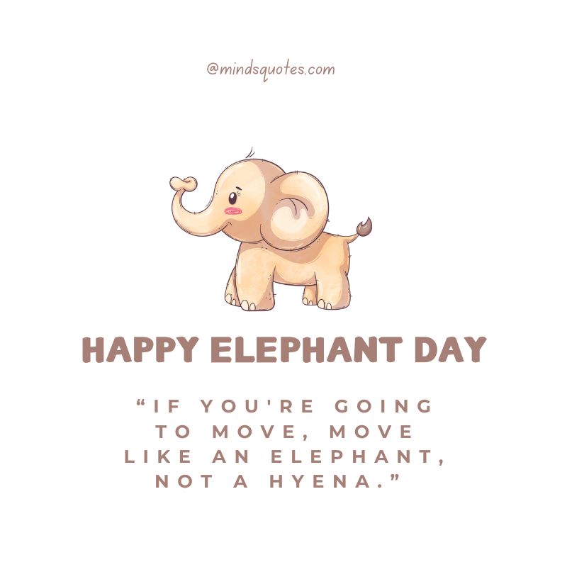 45 + Famous World Elephant Day Quotes, Wishes & Messages 12 World Elephant Day Message