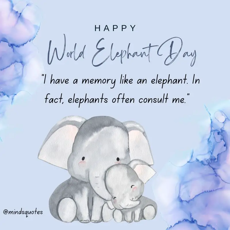 45 + Famous World Elephant Day Quotes, Wishes & Messages 14 World Elephant Day Quotes