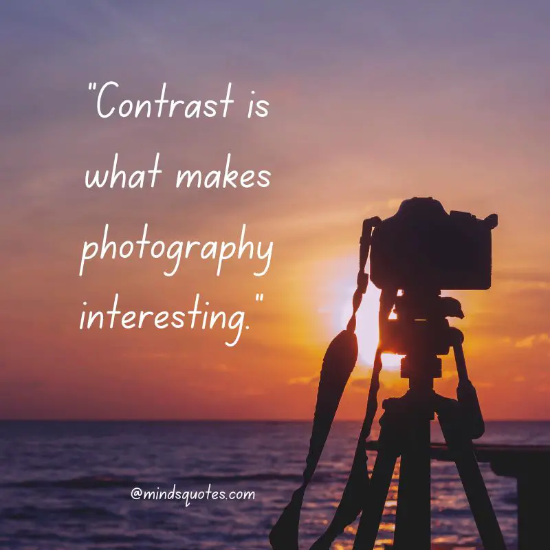 49+ Happy World Photography Day Quotes, Wishes & Messages 2 World Photography Day Messages