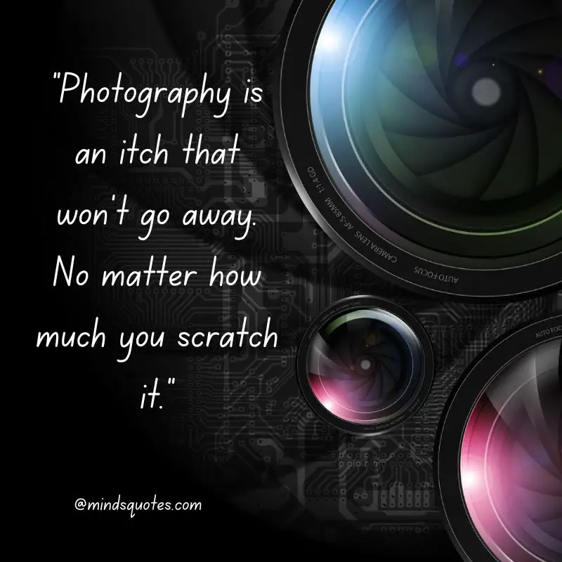 49+ Happy World Photography Day Quotes, Wishes & Messages 14 World Photography Day Quotes
