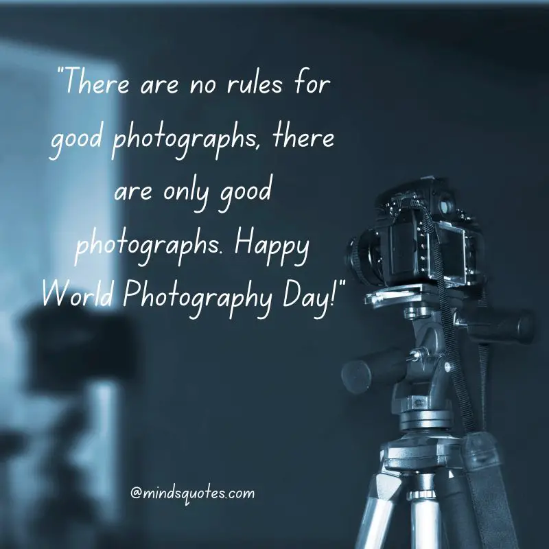 49+ Happy World Photography Day Quotes, Wishes & Messages 17 World Photography Day Wishes