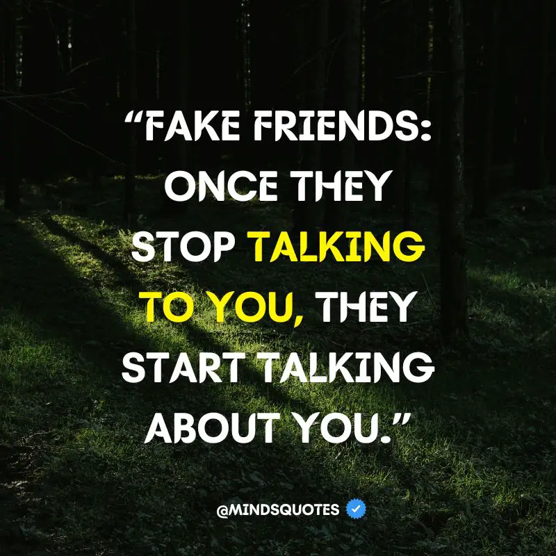 Funny Fake Friend Quotes