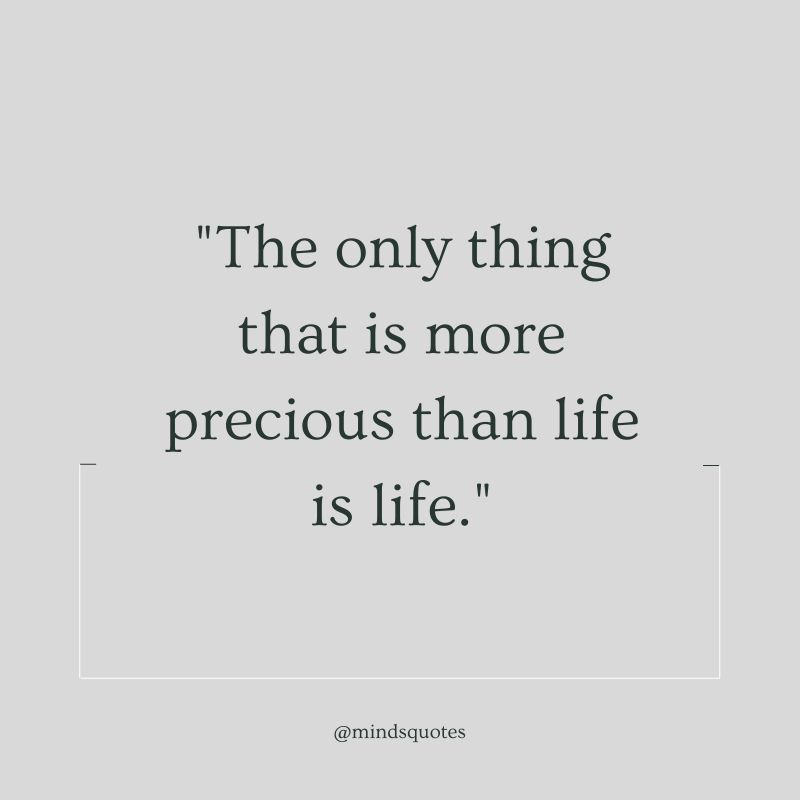50 Famous Life is Precious Quotes That Will Touch Your Heart 7 life is precious quotes