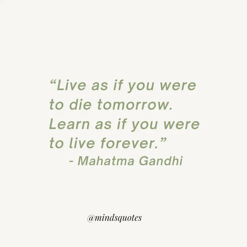 50+ Most Popular Study Quotes To Help You Ace Your Finals 3 motivational study quotes