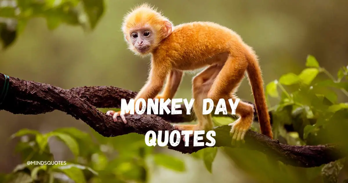 35 Famous Monkey Day Quotes, Messages & Greetings