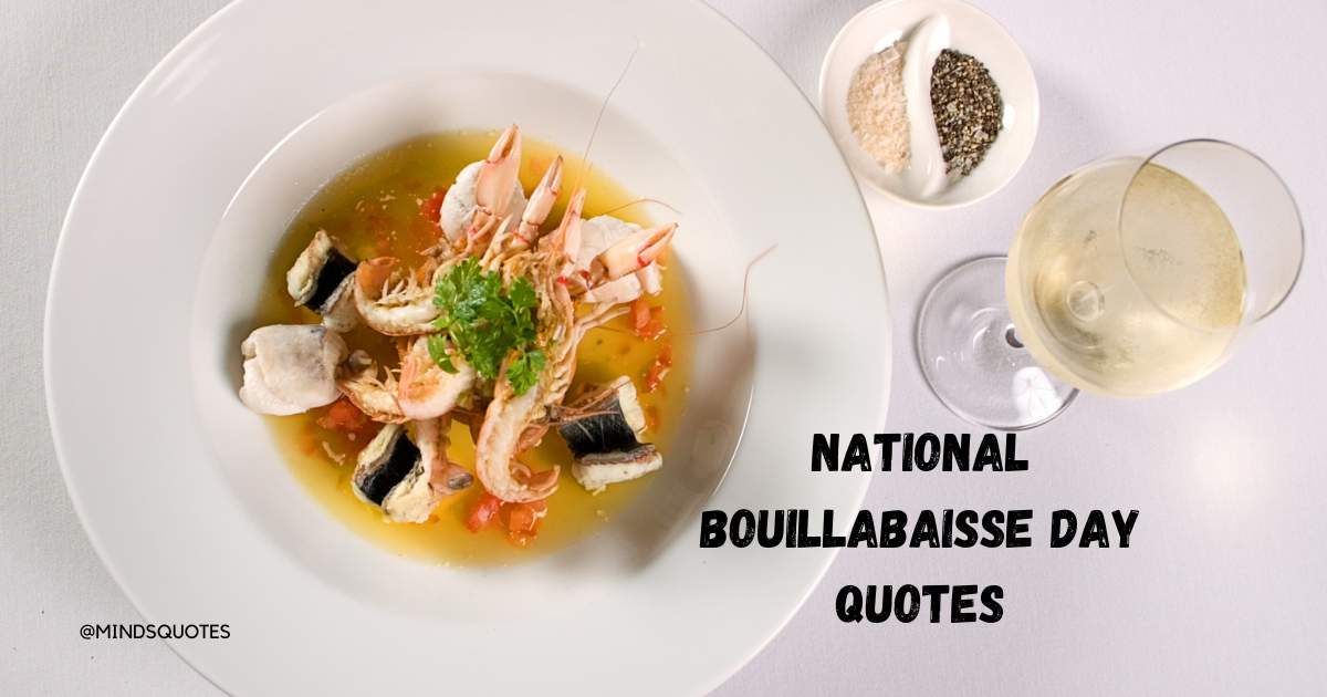 35 National Bouillabaisse Day Quotes, Wishes & Messages