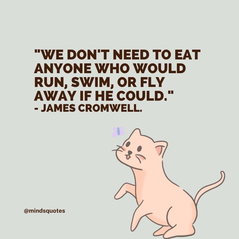 50 Famous International Animal Rights Day Quotes, Messages 6 International Animal Rights Day Massages