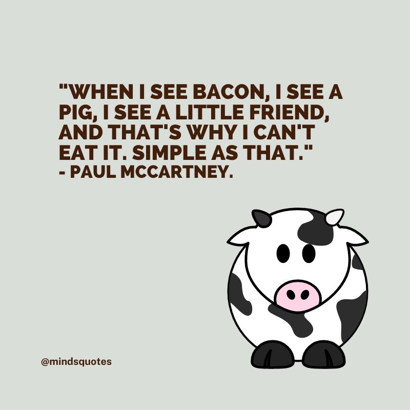 50 Famous International Animal Rights Day Quotes, Messages 7 International Animal Rights Day Massages