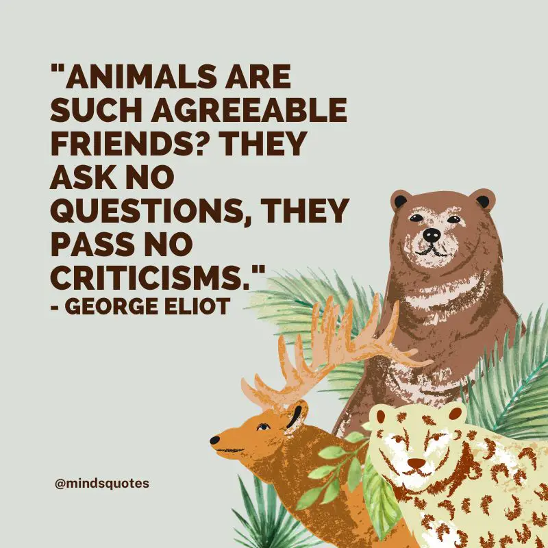 50 Famous International Animal Rights Day Quotes, Messages 50 Famous International Animal Rights Day Quotes, Messages