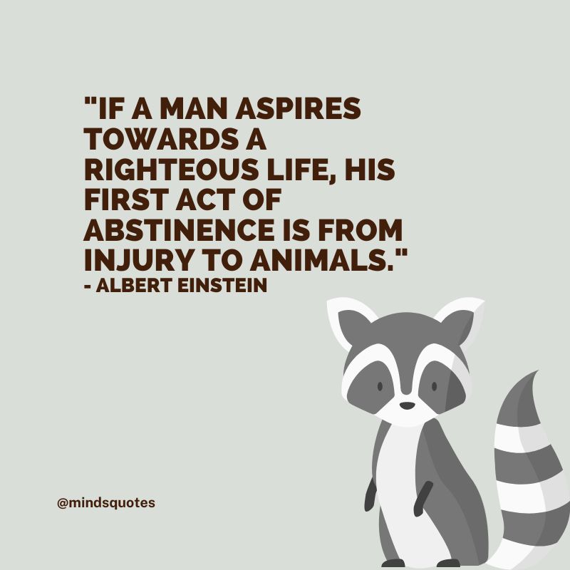 50 Famous International Animal Rights Day Quotes, Messages 4 International Animal Rights Day Quotes
