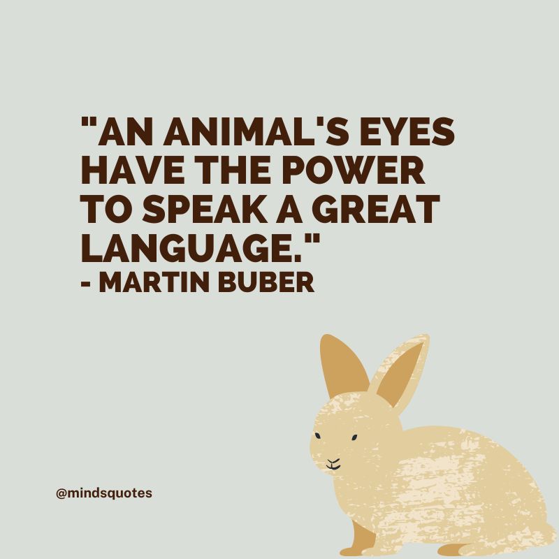 International Animal Rights Day Quotes
