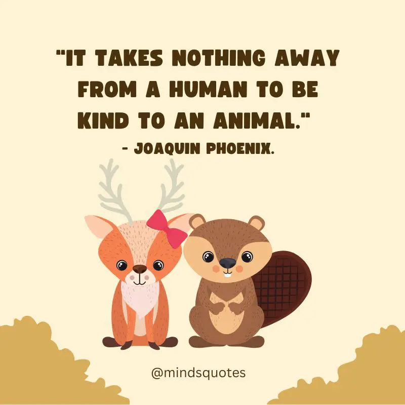 50 Famous International Animal Rights Day Quotes, Messages 2 International Animal Rights Day Quotes