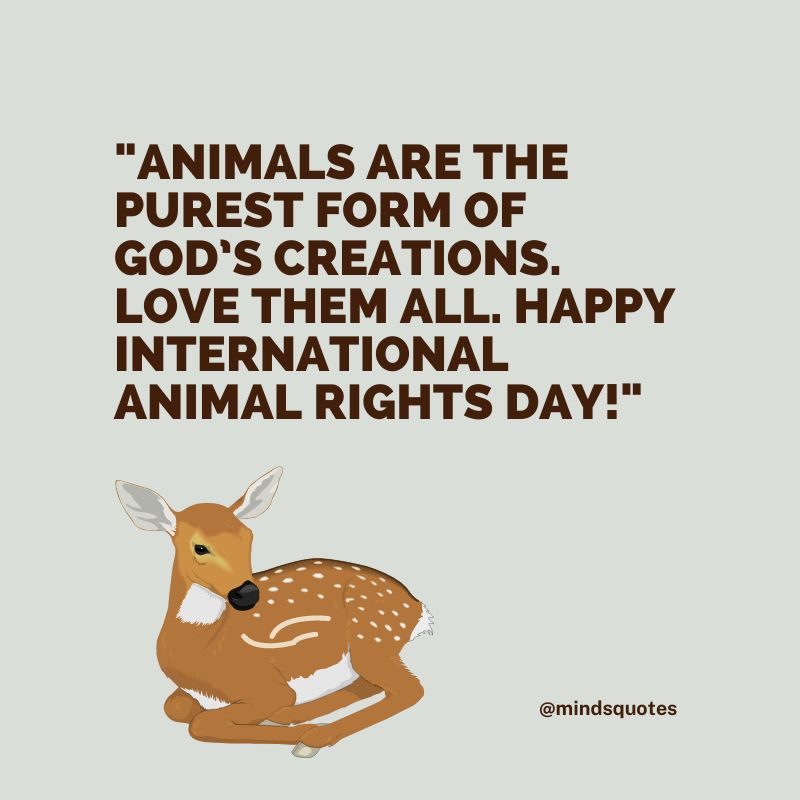 50 Famous International Animal Rights Day Quotes, Messages