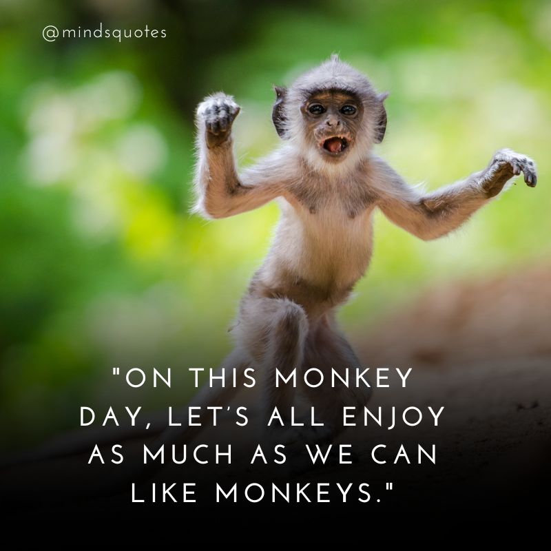 Monkey Day Greetings