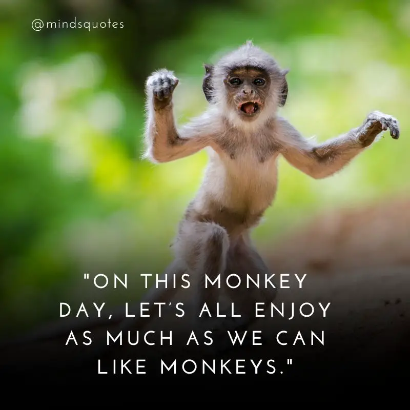38 Famous Monkey Day Quotes, Messages & Greetings 7 Monkey Day Greetings