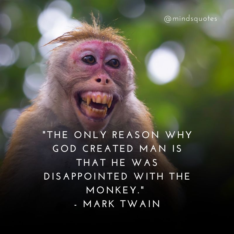 Monkey Day Quotes