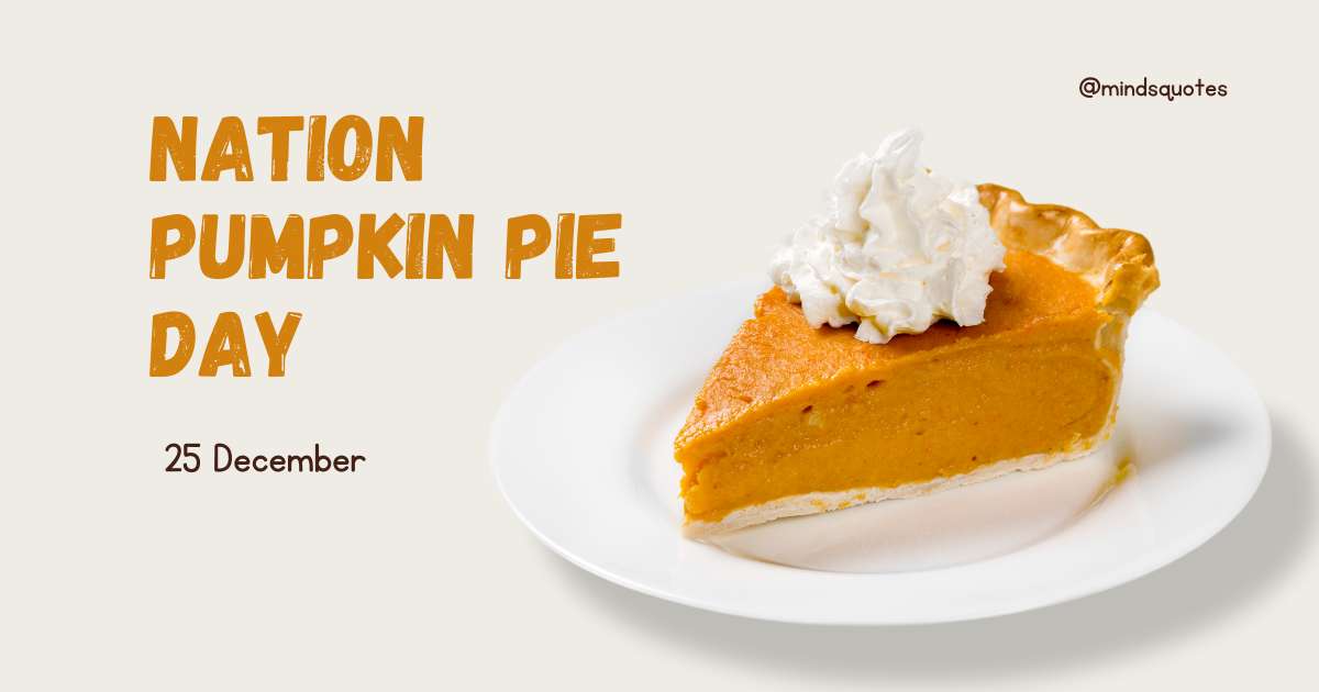 National Pumpkin Pie Day 2022: Date, History & Celebrate