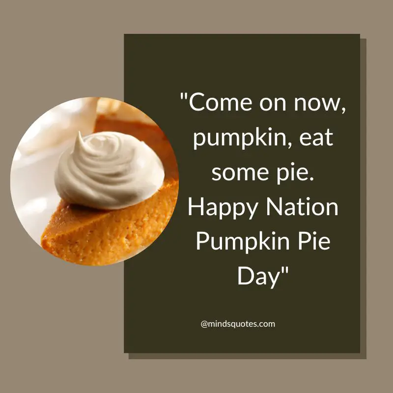 50 Famous National Pumpkin Pie Day Quotes, Wishes, Messages 8 Nation Pumpkin Pie Day Messages