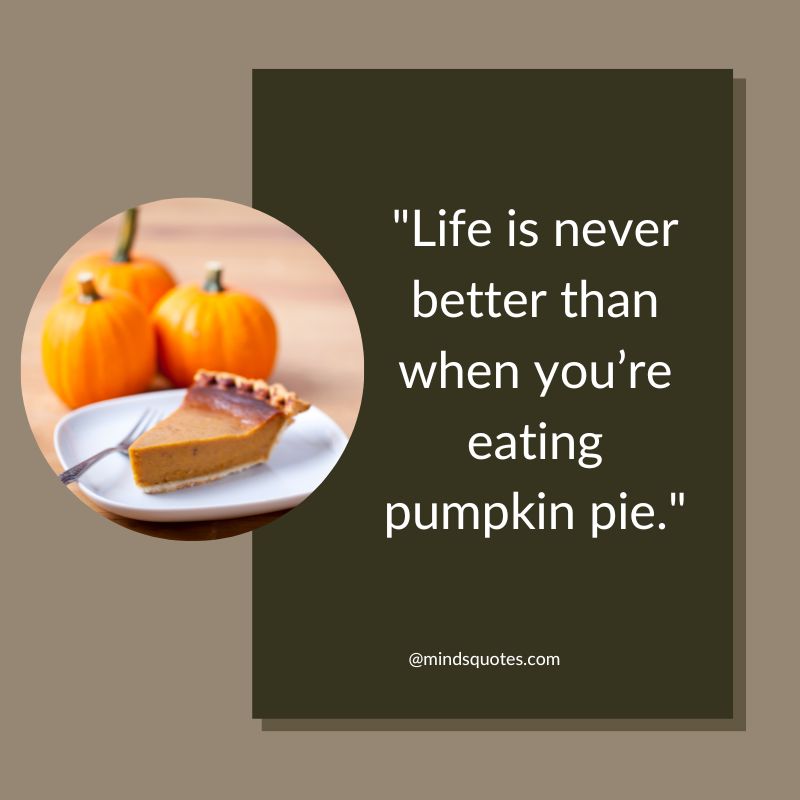 50 Famous National Pumpkin Pie Day Quotes, Wishes, Messages 7 Nation Pumpkin Pie Day Messages