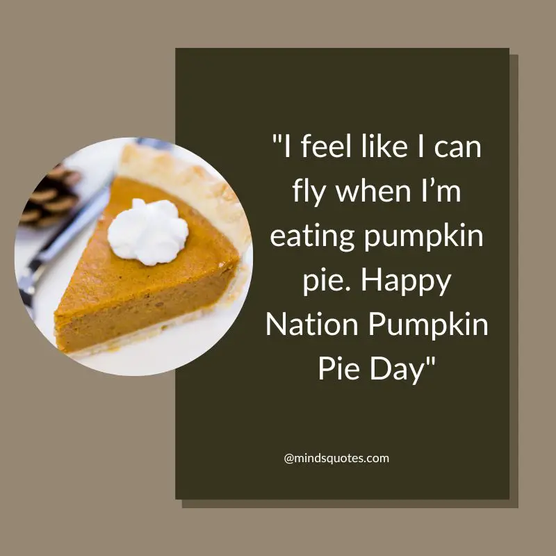 50 Famous National Pumpkin Pie Day Quotes, Wishes, Messages 5 Nation Pumpkin Pie Day Wishes
