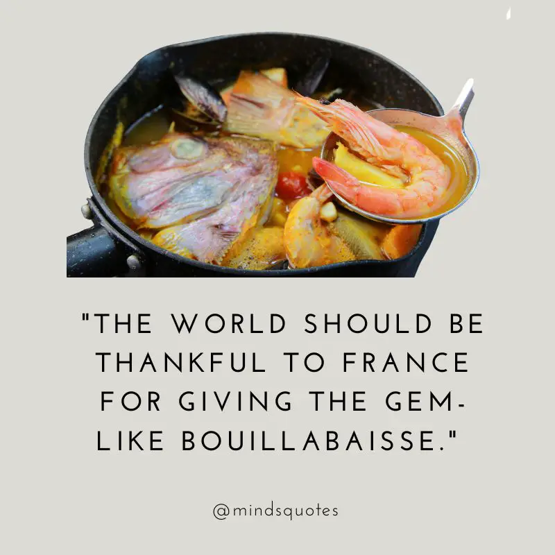 40 National Bouillabaisse Day Quotes, Wishes & Messages 7 National Bouillabaisse Day Wishes
