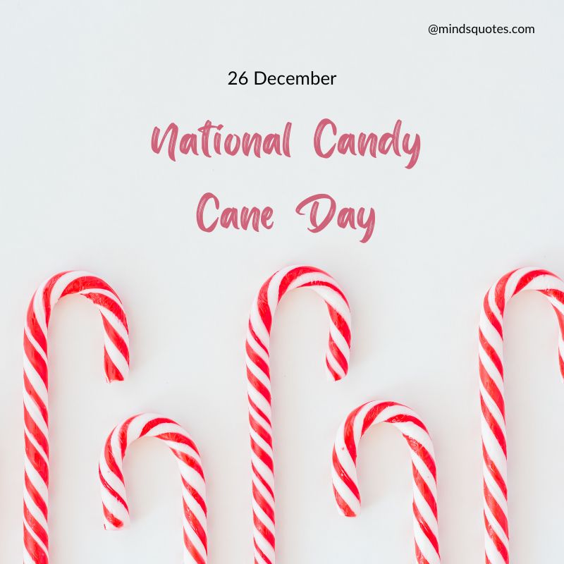 National Candy Cane Day Image