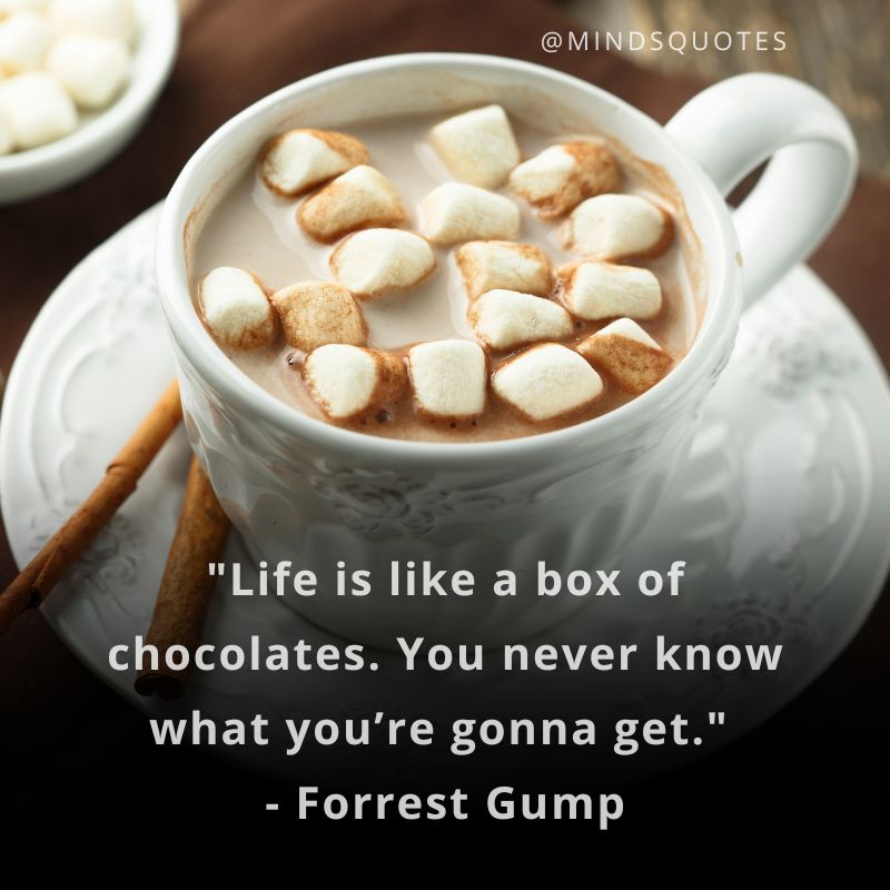 National Cocoa Day Quotes