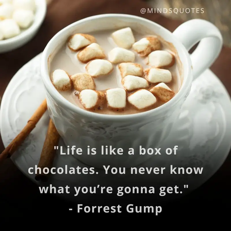 57 BEST National Cocoa Day Quotes, Messages & Wishes 3 National Cocoa Day Quotes