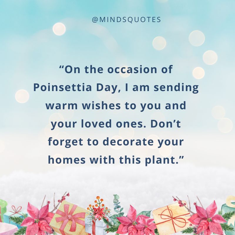 National Poinsettia Day Messages