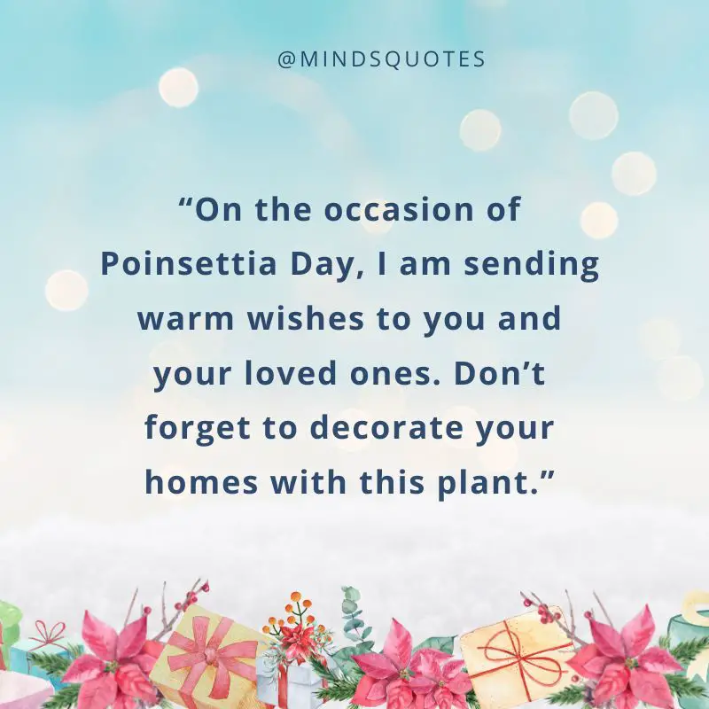 37 BEST National Poinsettia Day Quotes, Wishes & Messages 6 National Poinsettia Day Messages
