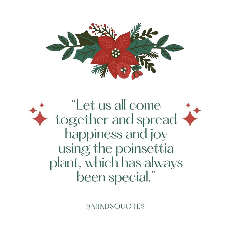 37 BEST National Poinsettia Day Quotes, Wishes & Messages 3 National Poinsettia Day Quotes