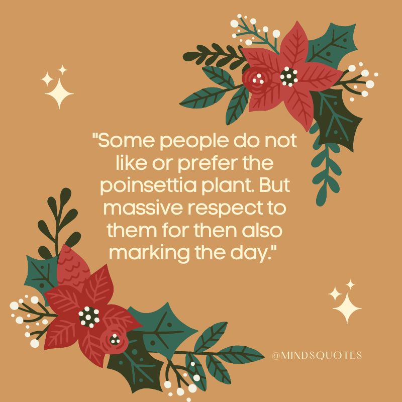 National Poinsettia Day Quotes