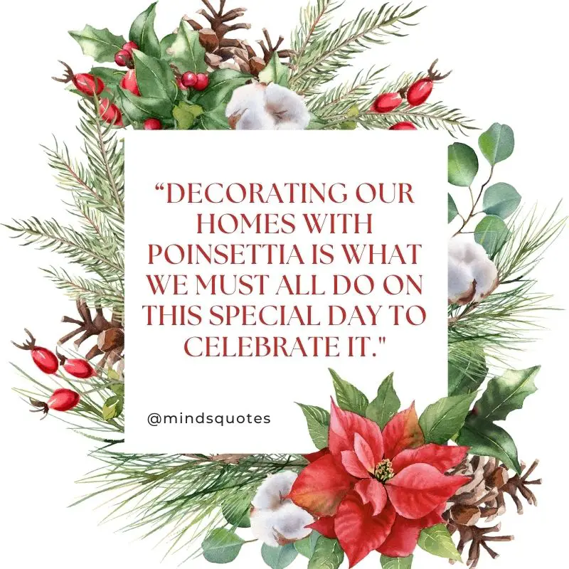 37 BEST National Poinsettia Day Quotes, Wishes & Messages 5 National Poinsettia Day Wishes