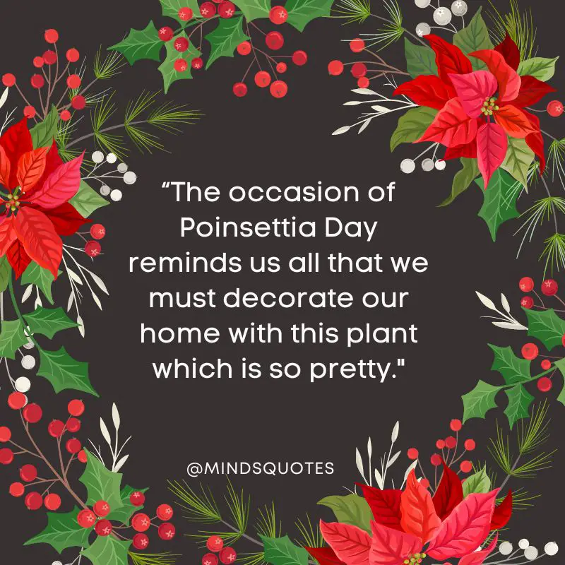 37 BEST National Poinsettia Day Quotes, Wishes & Messages 4 National Poinsettia Day Wishes