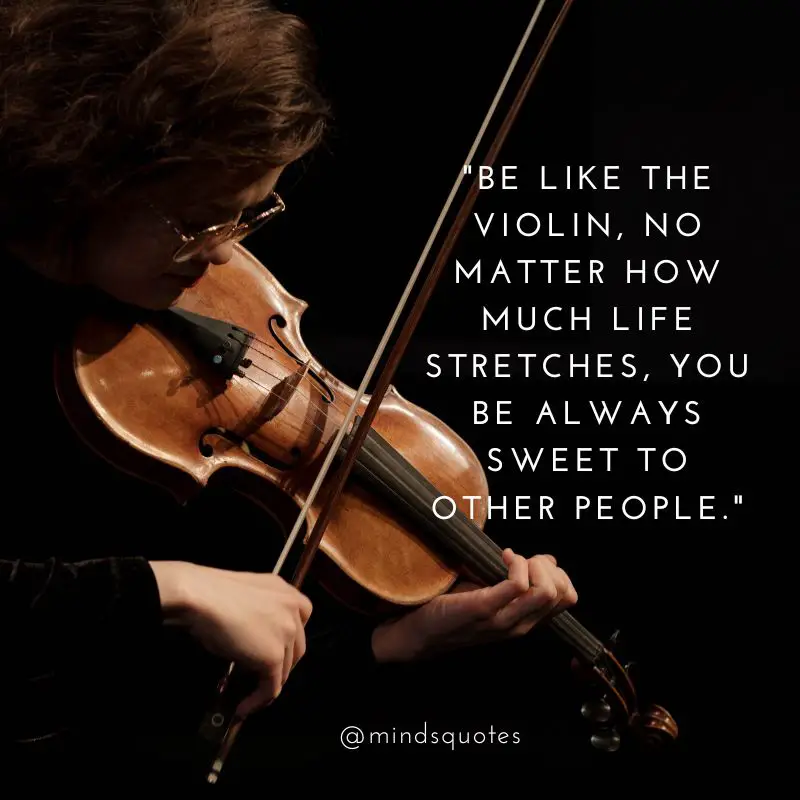 60 BEST National Violin Day Quotes, Wishes & Messages 10 National Violin Day Greetings