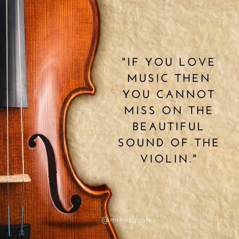 60 BEST National Violin Day Quotes, Wishes & Messages 11 National Violin Day Greetings