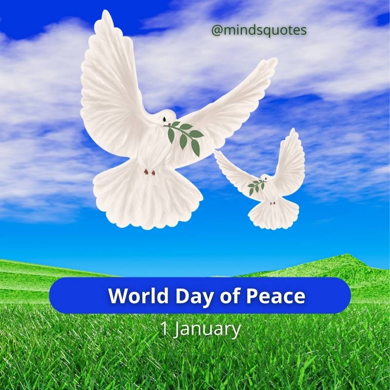 World Day of Peace Images